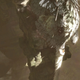 Illustration for article titled emThe Last Guardian/em: The First Screenshots